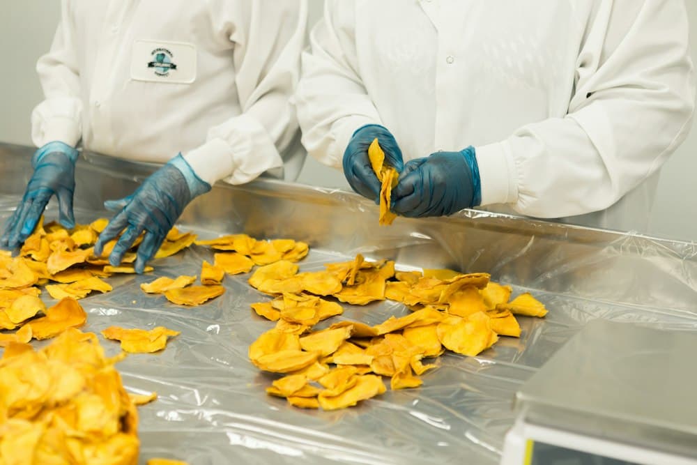 Gloved hands sorting dried fruit on a stainless steel table